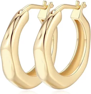 14K Gold Hoop Earrings for Women, Small Gold Hoop Earrings Well-polished Chunky Hoops Earring Dainty Hypoallergenic Earring