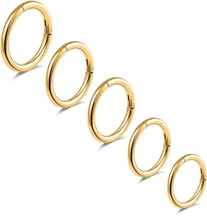 5Pcs G23 Titanium Nose Rings 16G/18G/20G Hinged Clicker Segment Nose Rings Hoop Lip Septum rings Multi-Color Tragus Cartilage Sleeper Earrings 6mm 7mm 8mm 9mm 10mm Hypoallergenic Nose Rings for Women Men