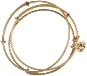 Alex and Ani Set Of 3 Bangle Set
