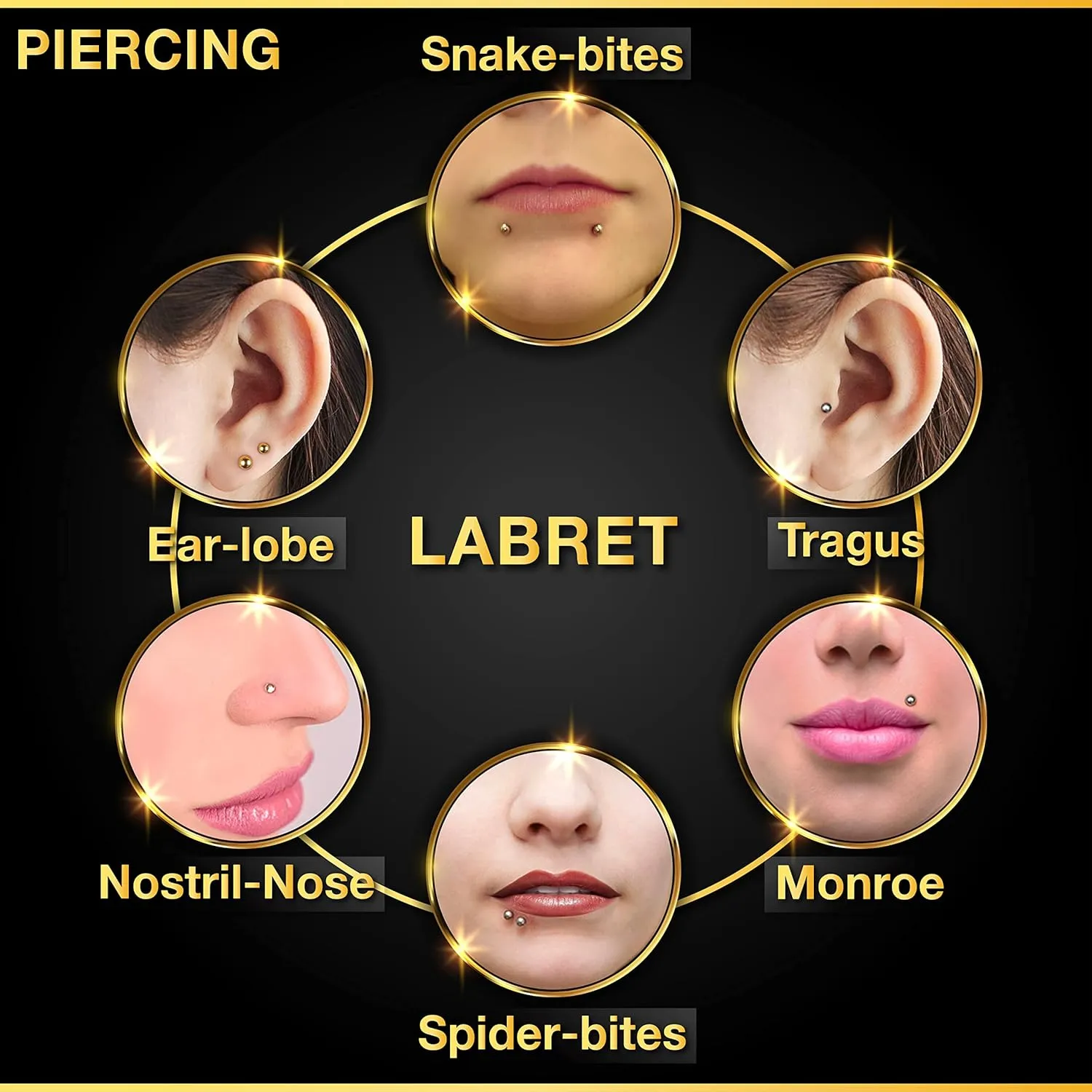 Bioplastic ear tragus earrings 16 Gauge Ball Eyebrow Helix Lobe Lip Earrings Cartilage Jewelry See More Sizes and Colors