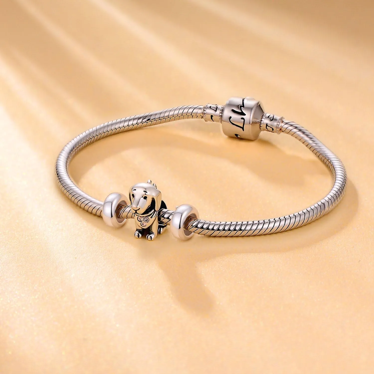 GW Stopper Charms 925 Sterling Silver Round Rondelle Spacer Beads for Charm Bracelets for Women