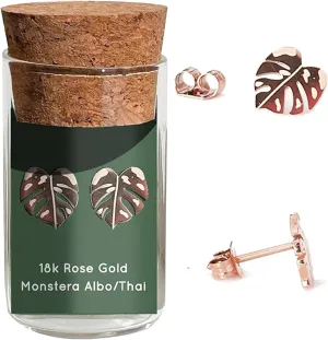 Monstera Albo Thai Constellation Stud Earrings  Houseplant-Nature-inspired Jewelry  Stainless Steel  18k Gold Plated  18k Rose-Gold Plated  Cute Glass Jar Packaging  Plastic-Free